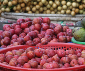 Mận Trung Quốc ồ ạt về chợ