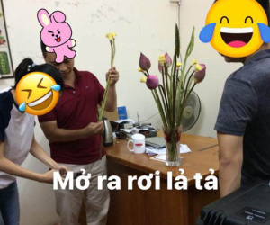 Anh chàng mua sen 3 lần bị lừa nhưng nghe người ta nói một câu, vẫn thấy 'Mình may chán'