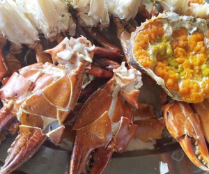 Nghén bầu thèm ăn đến phát điên, dâu trẻ sợ mẹ chồng mắng nên đành nhịn, mua được 1kg cua thì em chồng ăn hết 2/3