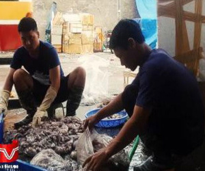 Video: Xem quy trình 'biến' bạch tuộc đen thành trắng tinh sau 30 phút