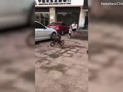Khỉ trộm xe đạp cưỡi đi gây náo loạn đường phố