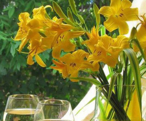 Thứ Hai của bạn (30/7): Nhân Mã bỗng dưng biết nhún nhường