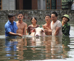 Dự báo thời tiết 31/7: Hà Nội tiếp tục mưa, ngoại thành ngập lụt kéo dài