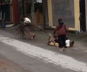 Clip: Hai ông bà kéo mo cau cho cháu nhỏ đi chơi khắp phố khiến dân mạng bồi hồi nhớ về tuổi thơ