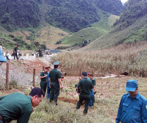 Bộ đội giúp dân trồng cây bơ giữa sào huyệt ma túy ở Lóng Luông