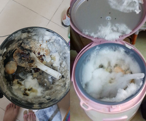 Quay lại phòng trọ sau nghỉ hè, sinh viên đua nhau khoe nồi cơm điện mốc rêu, bốc mùi chua