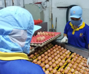 Ba Huân có bị VinaCapital lừa góp vốn?