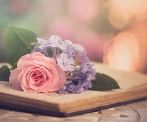 Thứ Ba của bạn (7/8): Bọ Cạp đừng quá chần chừ