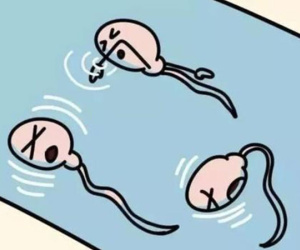 6 'sát thủ' của tinh trùng cản trở quá trình thụ thai, một thứ đấng mày râu nào cũng có