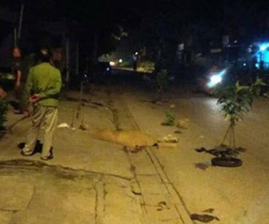 Hà Nội: Bàng hoàng phát hiện hai nam thanh niên thương vong cạnh chiếc xe máy lúc nửa đêm