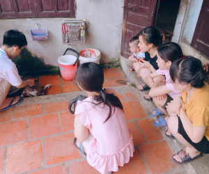 Ảnh minh họa