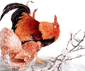 4 con giáp yếu vía dễ gặp xui xẻo trong tháng cô hồn, nhất định phải hết sức cẩn trọng