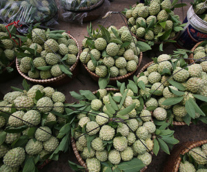 Chợ na vùng biên ải vào vụ