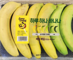 Hộp chuối chín dần đều gây tranh cãi của siêu thị Hàn Quốc