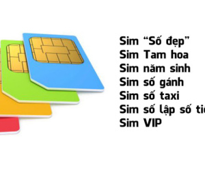 Những sim số đẹp nào đang được rao bán tiền tỷ trên thị trường?