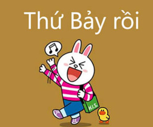 Thứ Bảy của bạn (11/8): Bảo Bình lạc quan vui tươi