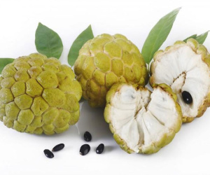 Bà bầu có nên ăn na không?