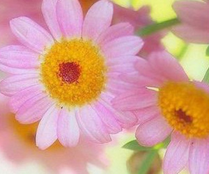 Thứ Ba của bạn (14/8): Kim Ngưu nên từ tốn trong mọi việc