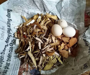 Tin đồn thất thiệt về 'ma' thuốc độc khiến nhiều người lao đao ở Quảng Bình