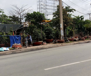 Một người bị đâm chết khi đi mua bia ở Sài Gòn