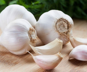 Ăn tỏi có thực sự giúp bạn giảm cân? Dưới đây là những điều bạn cần phải nắm rõ!