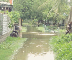 Thanh Hóa: Bão tan, người dân thấp thỏm lo ngập úng, lũ quét