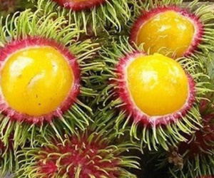 Chôm chôm ruột vàng lại tái xuất gây “sốt” thị trường Hà Nội