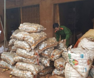Lật tẩy mánh khóe của chủ cơ sở nông sản 'phù phép' khoai Tây Trung Quốc thành khoai tây Đà Lạt