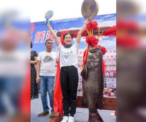 Nhà hàng Trung Quốc mua cá khổng lồ 40 tuổi để ăn lấy may