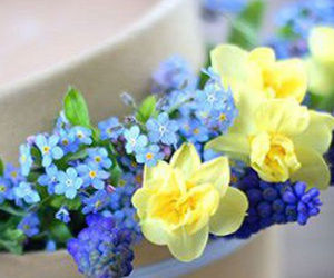 Thứ Tư của bạn (22/8): Sư Tử có một ngày rực rỡ