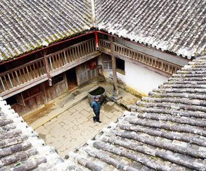 Cuộc đời oai hùng của 'Vua Mèo' qua lời kể của cháu nội