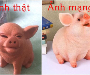 Đặt mua lợn đất dễ thương qua mạng, chàng trai hoảng hồn khi nhận được chú lợn 'mình đen, mặt nham hiểm'