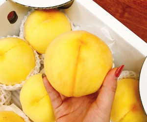Thị trường lại 'sốt' trước loại đào vàng Nhật Bản giá cả triệu đồng/kg