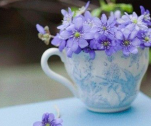 Thứ Năm của bạn (23/8): Cự Giải chẳng mấy dịu dàng