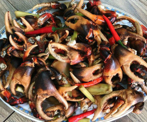 Ảnh minh họa