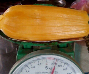 Phát sốt với quả mít hơn 40 kg, mỗi múi nặng 2 lạng