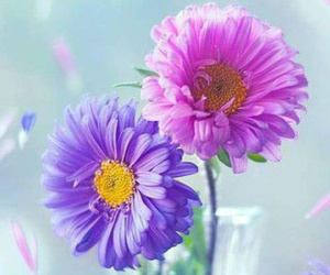 Thứ Bảy của bạn (25/8): Thiên Bình cần chấn chỉnh cách chi tiêu