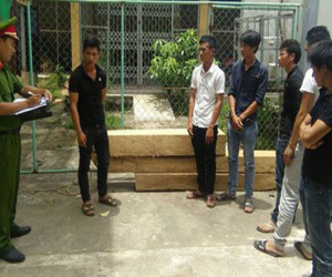 Bắt 6 đối tượng cướp gỗ ở Trạm bảo vệ rừng
