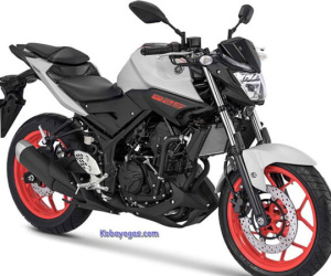 Yamaha MT-25 2018 bổ sung màu mới, giá từ 76 triệu đồng
