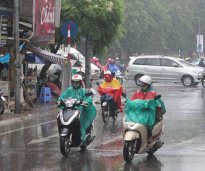 Ship đôi giày đi 2 km lấy 50 ngàn, 3 ngày tăng giá bất thường