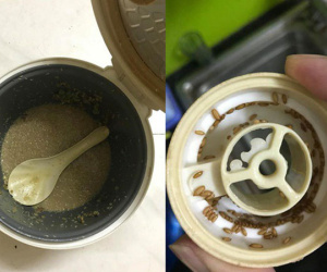 Qua nhà người yêu chơi, chàng trai suýt ngất vì nồi cơm bốc mùi, giòi bò lúc nhúc và sự thật kinh hoàng phía sau