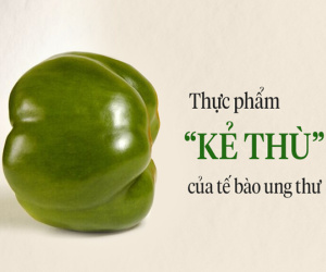 Trái cây rẻ tiền trong vườn Việt được Đông y coi là quả 'sát thủ' tiêu diệt tế bào ung thư