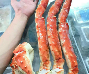 Chân cua hoàng đế dài hơn nửa mét giá vài triệu đồng một bộ