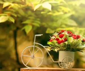Chủ nhật của bạn (2/9): Bảo Bình chỉ muốn vui chơi