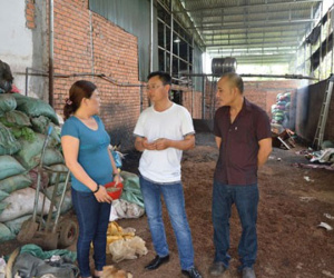 Kết luận điều tra vụ hồ tiêu trộn pin ở Đắk Nông