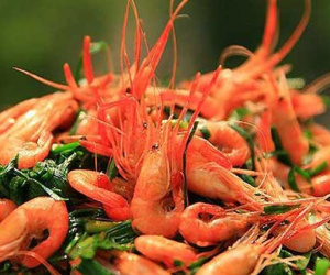 Tôm càng kích thích sinh dục, chữa liệt dương