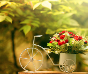 Thứ Tư của bạn (5/9): Cự Giải được nhiều người giúp đỡ