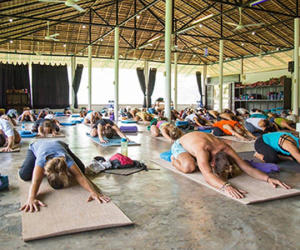 Hàng loạt học viên tố bị tấn công tình dục ở trường yoga lớn nhất thế giới