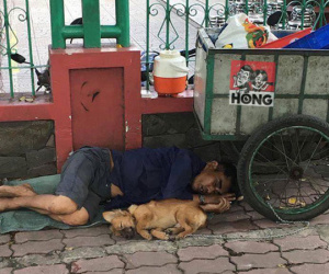 Bức ảnh chó không chê chủ nghèo gây xúc động cho đến khi dân mạng phát hiện ra chi tiết lạ