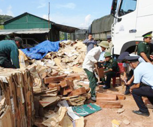 Hàng ngàn thanh gỗ quý hiếm cất giấu tinh vi trong các kiện giấy phế liệu